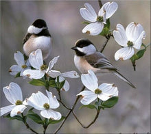 Load image into Gallery viewer, White Dogwood: Bundle of 5