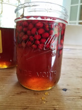 Load image into Gallery viewer, Spicebush bundle of 5 seedlings